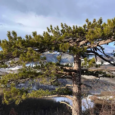 度假居 Cardak Na Padini Zlatibora Ravni