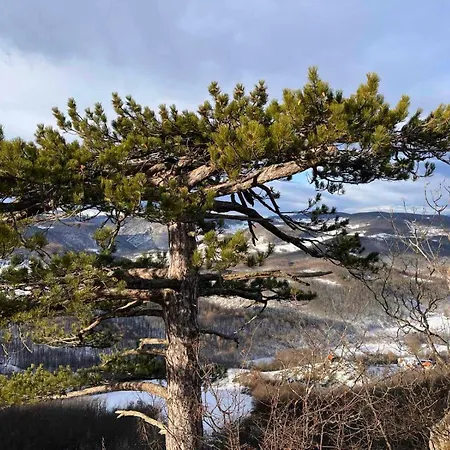 Cardak Na Padini Zlatibora 度假居