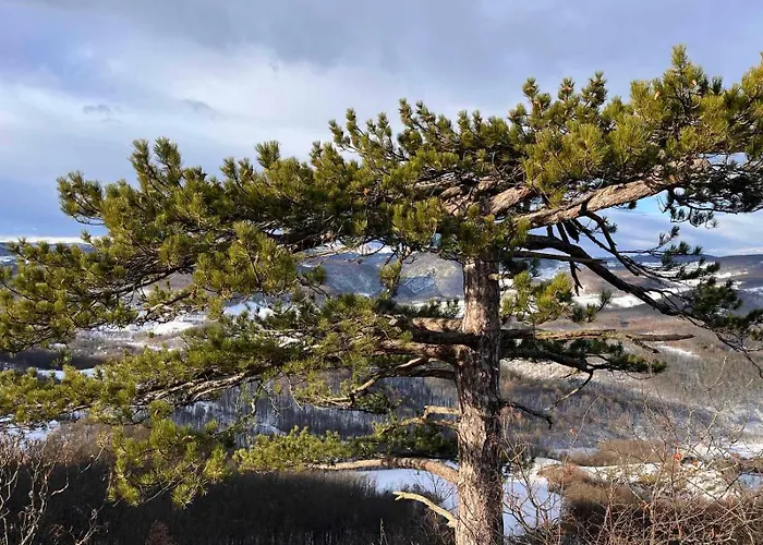 Nyaraló Cardak Na Padini Zlatibora Ravni