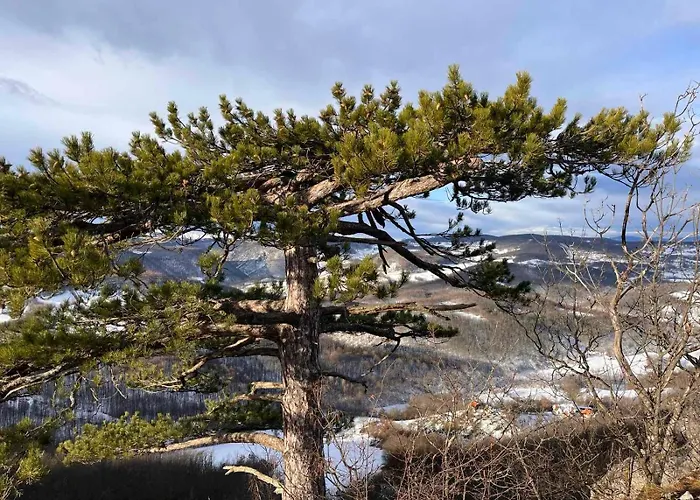 Cardak Na Padini Zlatibora Nyaraló